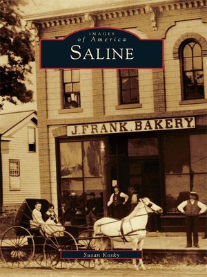 Saline - ebook